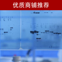 免疫共沉淀(co-IP)实验服务