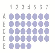 食管癌32点组织芯片OD-CT-DgEso02-001