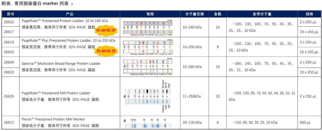 Thermo彩色预染蛋白marker，10 to 260 k