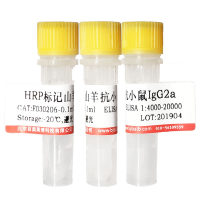 氨基化牛血清白蛋白(ABSA)北京供应商