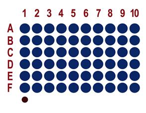 肾癌60点组织芯片HKid-CRCC060PG-01