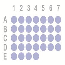 食管癌32点组织芯片OD-CT-DgEso02-002