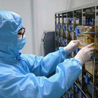 条件性基因敲除鼠