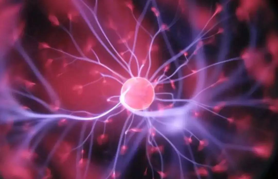 生物样本库夏季读—法规及应用