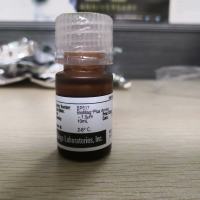 羧基磁珠ProMag™ 1 Series · COOH