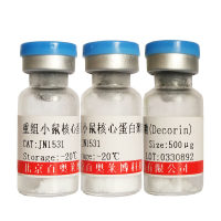 重组小鼠CD74优惠促销