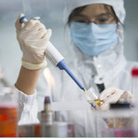 CRISPR /Cas9基因定点突变细胞系