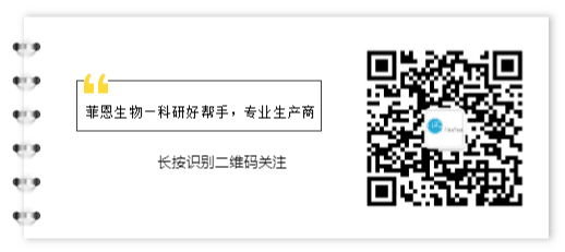 【技术分享】细胞培养基础——环境保持(一)