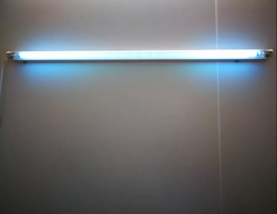 【技术分享】细胞培养基础——环境保持(一)