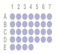 食管癌32点组织芯片OD-CT-DgEso02-003