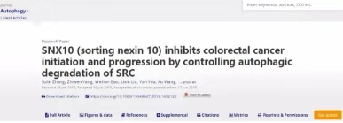 自噬高分文章集锦——Autophagy 论文导读