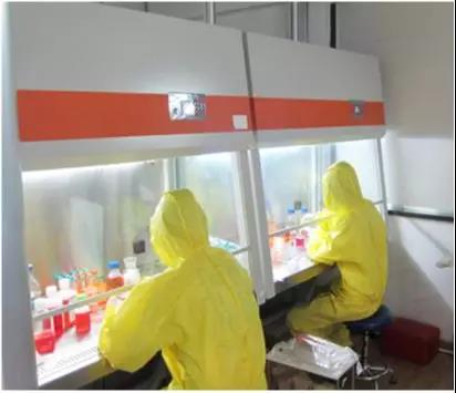 【技术分享】细胞培养基础——环境保持(一)