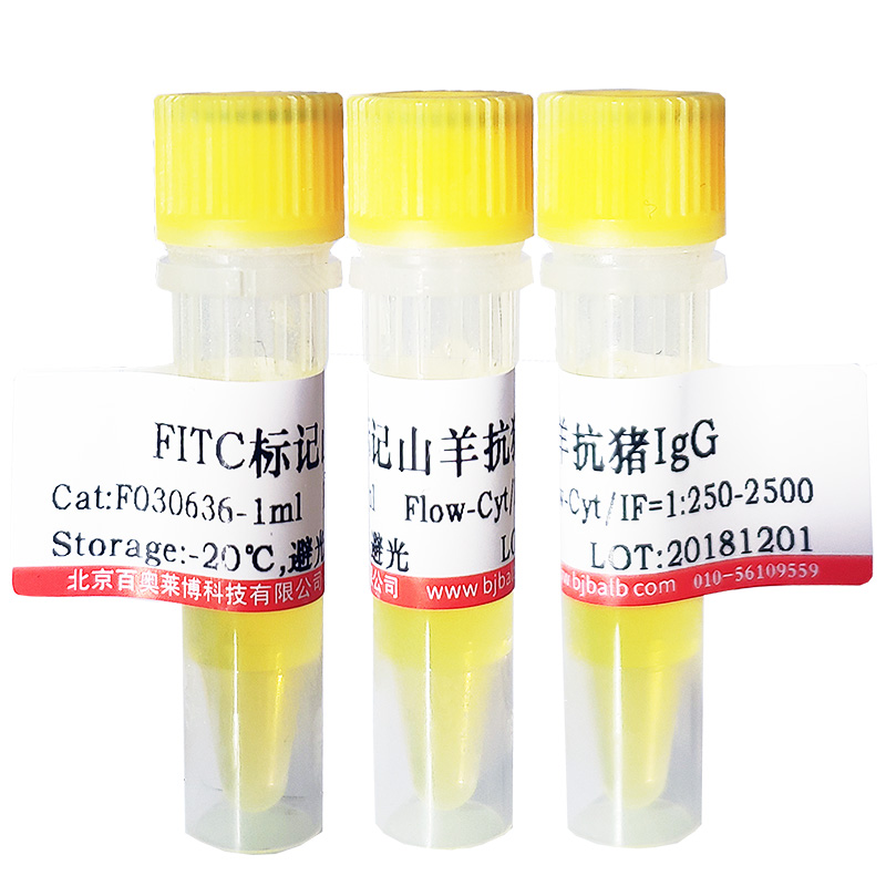 兔抗水通道蛋白12(AQP-12)抗体北京供应商
