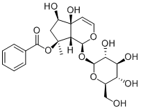 8-O-苯甲酰哈巴苷1151862-69-9