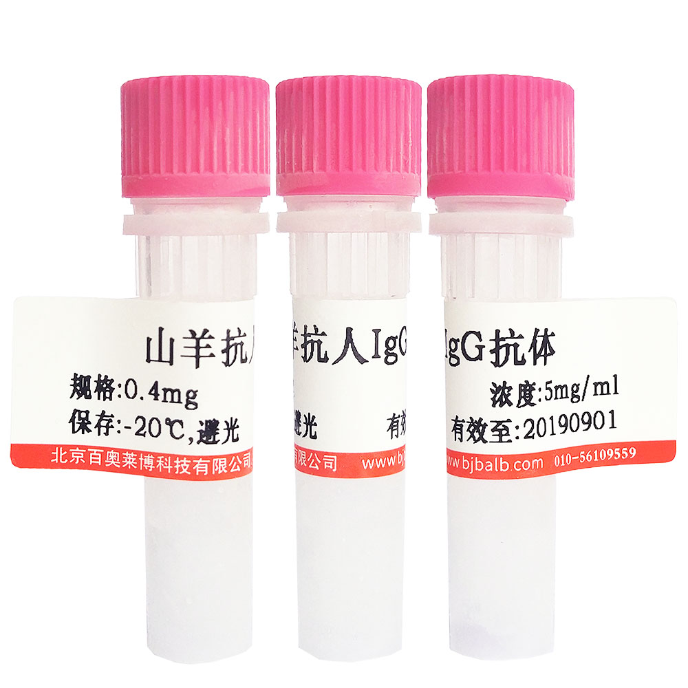 FITC标记羊抗人白蛋白抗体北京供应商