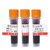 胶体金标记兔抗鸭IgY/IgG(H+L)抗体(金标二抗)