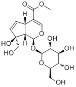 栀子苷24512-62-7