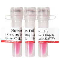 iFluor 555标记鬼笔环肽北京品牌