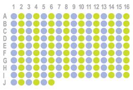 结肠癌150点组织芯片HColA150CS02