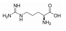 L-蛋白氨基酸