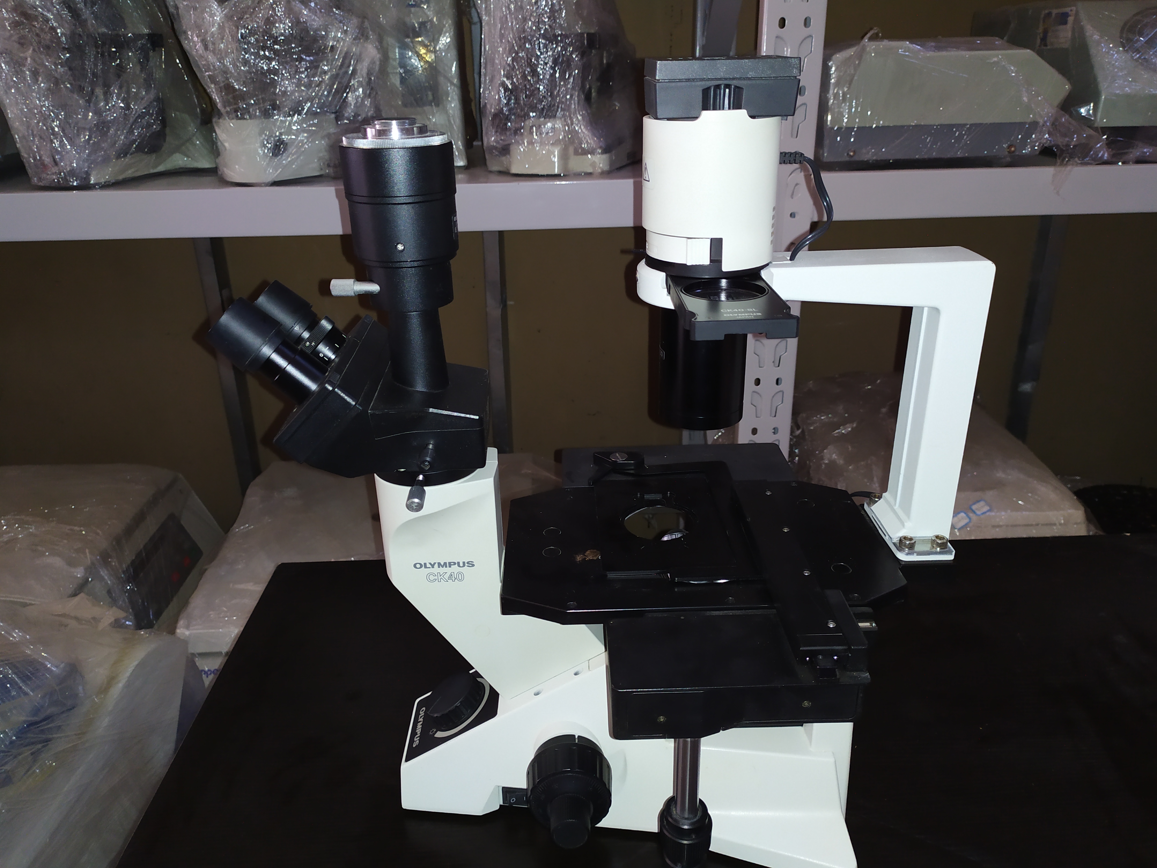 奥林巴斯CKX41荧光倒置显微镜