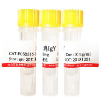 Cy5.5标记山羊抗兔IgG(H+L)北京品牌