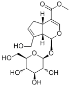京尼平苷24512-63-8