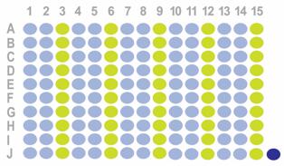 生存期乳腺癌150点组织芯片HBre-Duc150Sur-01 添加HBre-Duc170Sur-01(ER、PR、Her2、EGFR、Ki67、p53、AR、CK5/6)和FISH数据(Her2)