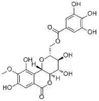 11-O-Galloylbergenin进口