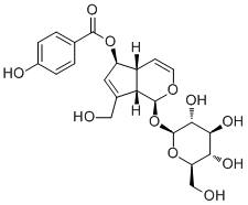 6-O-对羟基苯甲酰桃叶珊瑚苷1016987-87-3