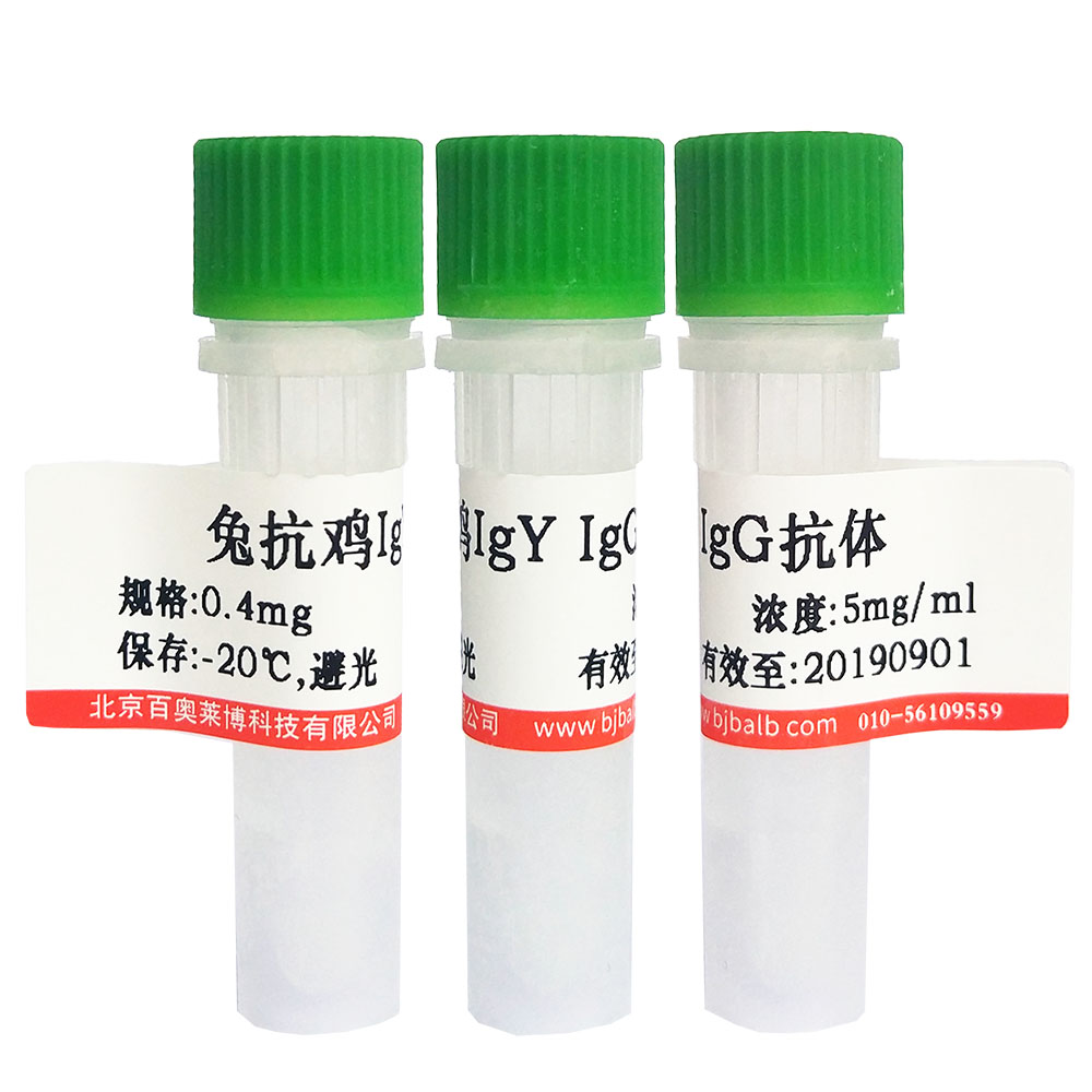 抗人HER-2单克隆抗体(>98%)北京厂家