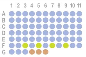 皮肤癌72点组织芯片HSki-C072PT-01