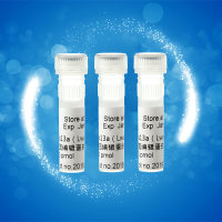 CRISPR-Cas13a(Lbu)基因编辑蛋白