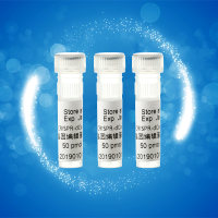 CRISPR-dCas9基因编辑蛋白