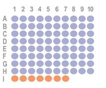 多器官肿瘤87点组织芯片OD-CT-Com01-004  