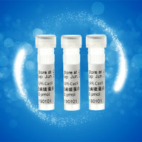 cas9 Nuclease基因敲除编辑检测定点突变蛋白