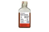 新生牛血清lonsera 