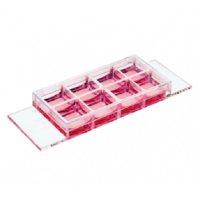 ibidi µ-Slide 8孔腔室载玻片