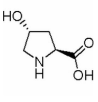 L-羟脯氨酸
