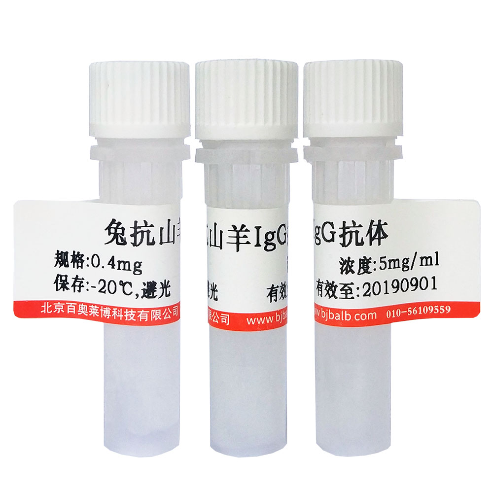 鸡卵清白蛋白偶联氟伐他汀优惠促销