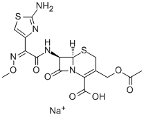 Cefotaxime sodium64485-93-4多少钱