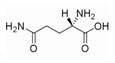 L-谷氨酸酰胺