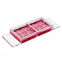 ibidiµ-Slide 2孔共培养