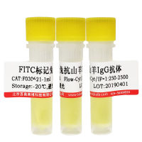 FITC标记人白蛋白抗体优惠促销