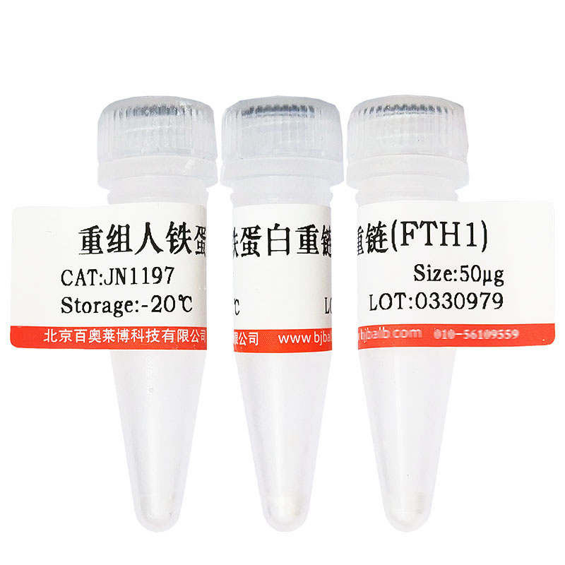 重组人血红蛋白θ1(HBQ1)北京厂家