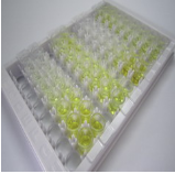 小鼠成纤维细胞生长因子10(FGF10)检测试剂盒(酶联免疫吸附试验法)