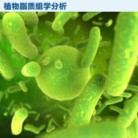 植物脂质组学分析