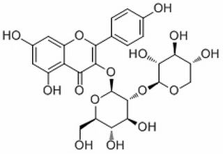 堪非醇-3-O-桑布双糖苷