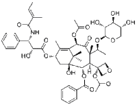 7-Xylosyltaxol B90352-19-5