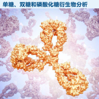 单糖、双糖和磷酸化糖衍生物